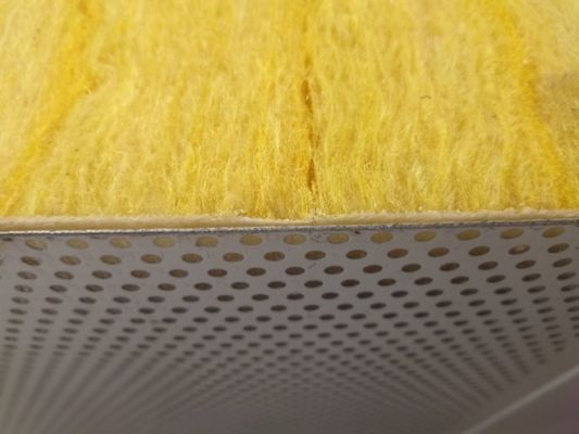 Fireproof Acoustic Sandwich Panel Systems 125mm 150mm 200mm