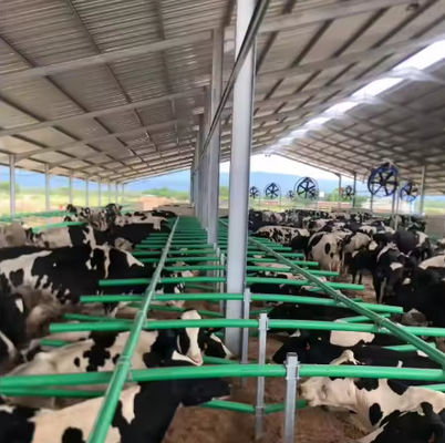 Low Cost Livestock Shelter Dairy Farm Barn Steel Structure Cow Shed For Live Cattle