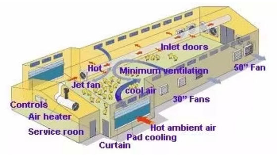 Modern Design Steel Structure Broiler House Chicken Warehouse For Farmhouse
