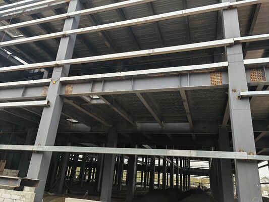 Pre‑manufactured steel frame components field installation factory building food‑processing plant stock warehouse transit logistics station