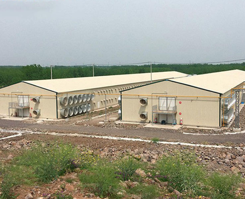 Modern Light Ventilated & Insulated Steel Structure Chicken Coop High-Efficiency Poultry Farming House Commercial Breeding