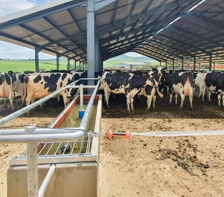 Prefabricated Modern Lightweight Steel Structure Building For Poultry Farming Chicken Coops Cattle Sheds