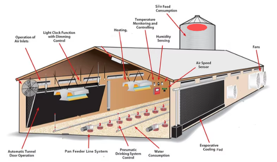 Prefabricated Steel Structure Chicken House Galvanized Steel Frame Poultry Farm Building with Ventilation & Insulation System