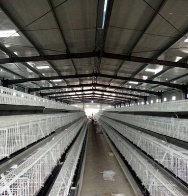 Prefabricated Steel Structure Poultry Farm Structures Poultry Control Shed Construction Building for Chicken