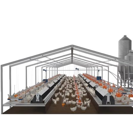 Insulated Steel Structure Chicken Coop With Full Set Equipment For 1000-10000 Chickens