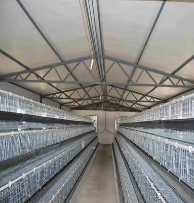 Modern Light Poultry Farm Shed Chicken Coop Design Steel Construction Cheap Farm House Sale